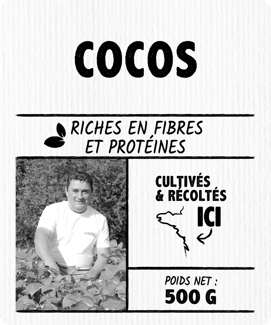 Cocos