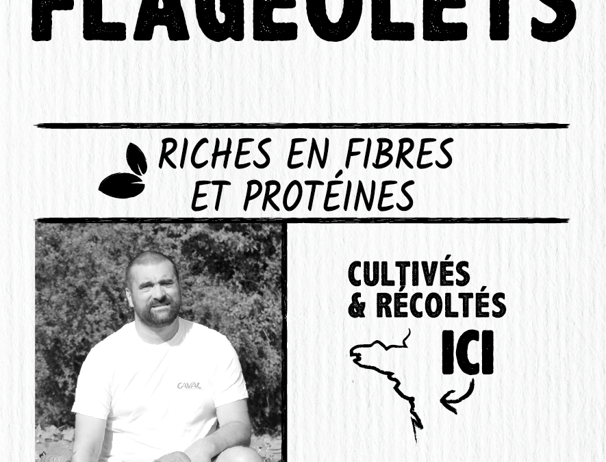 Flageolets