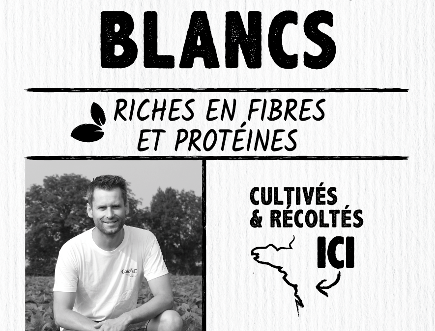 Haricots blancs