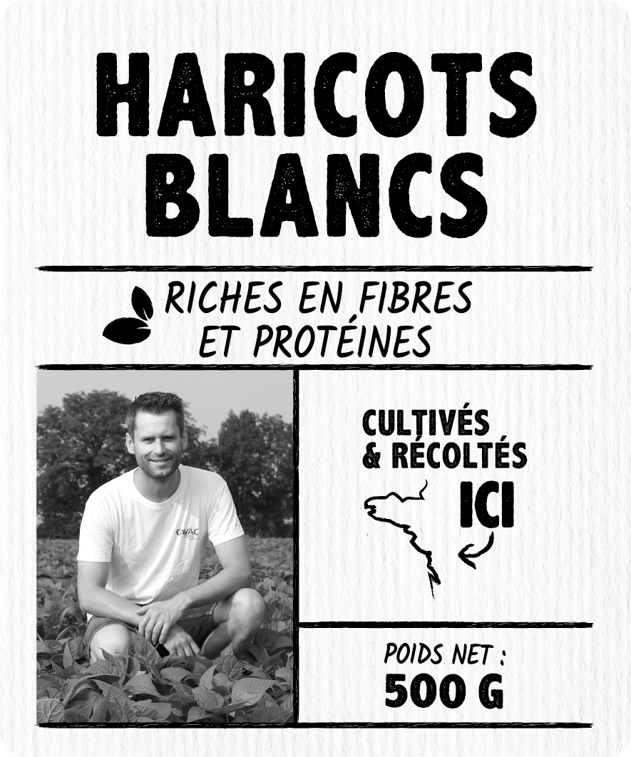 Haricots blancs