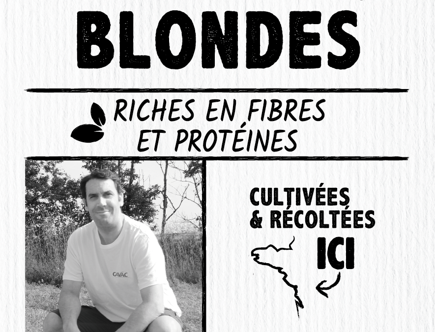 Lentilles blondes