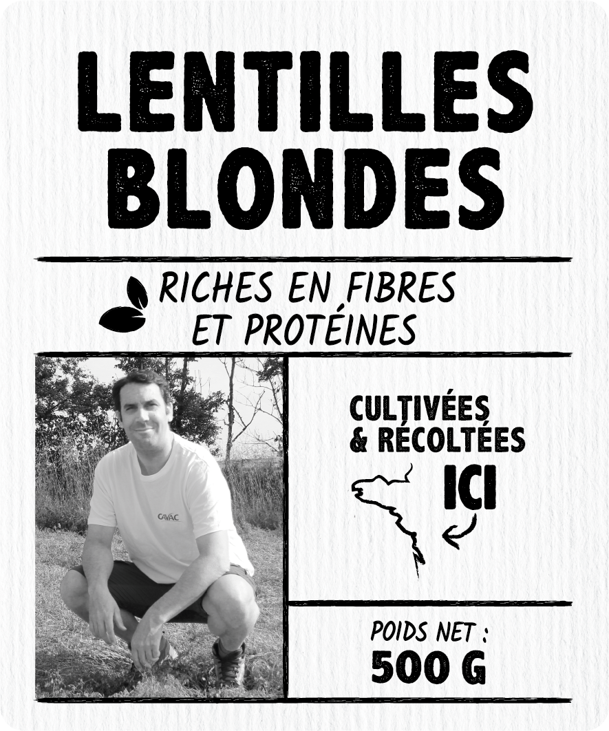 Lentilles blondes