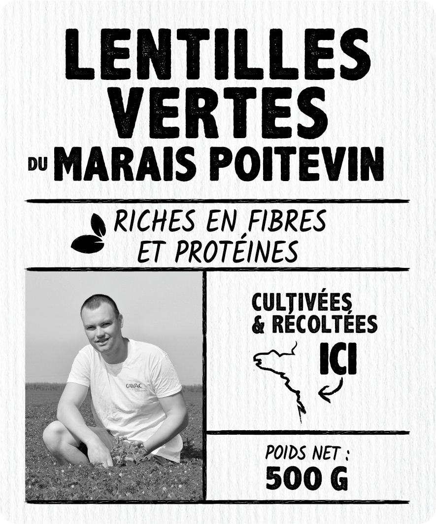 Lentilles vertes du Marais Poitevin