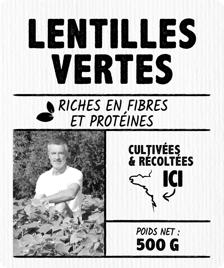 Lentilles vertes