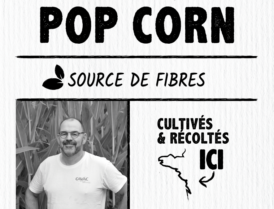 Maïs pop-corn