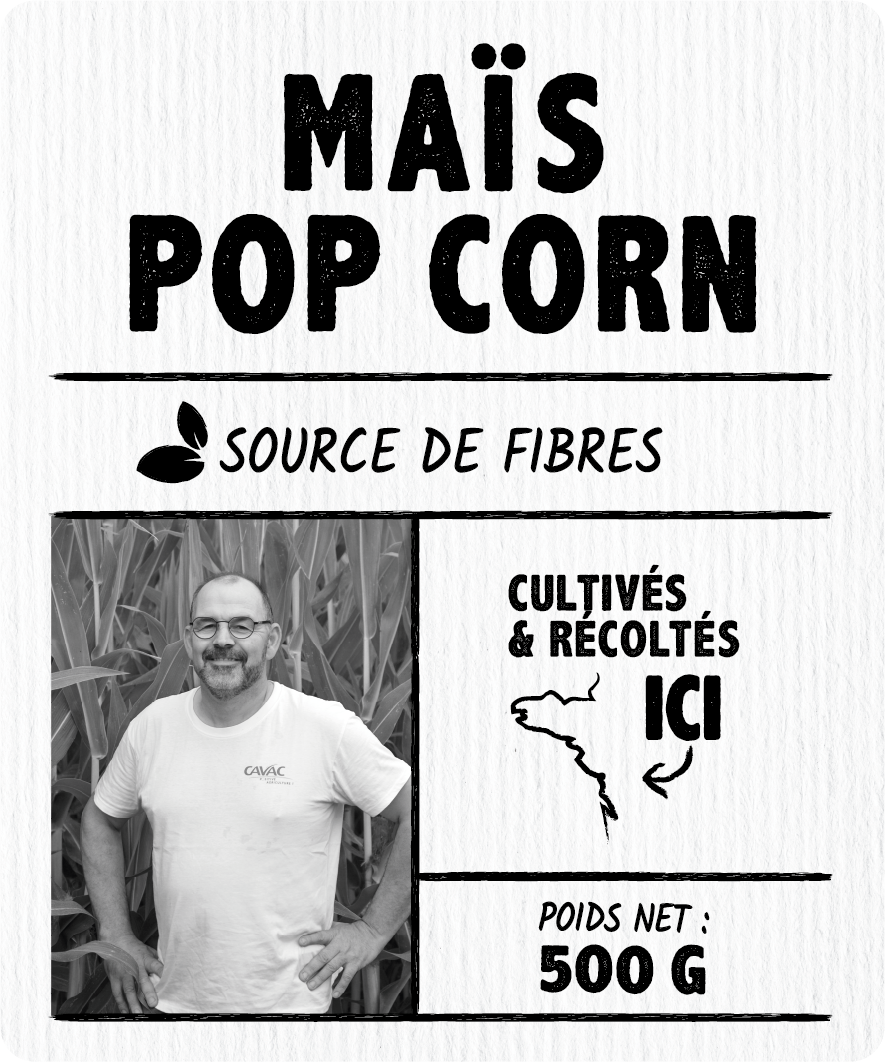 Maïs pop-corn