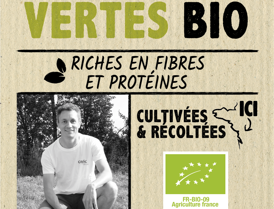 Lentilles vertes Bio